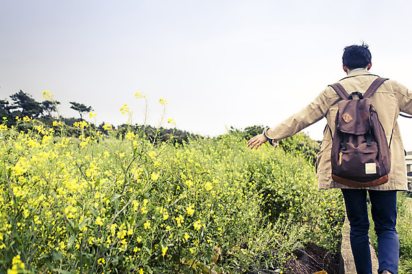 포토 JPG 주간 식물 라이프스타일 남자 꽃 여유 맨라이프 여행 꽃밭 모션 하늘 휴식 한국 한명 사람 동양인 20대 성인 야외 뒷모습 제주도 걷기 한국인 자유 유채 남자만 남자한명만 성인남자만 청년만 청년남자만 청년남자한명만 성인한명만 성인남자한명만 성인만 국내포토 자연요소 1 감정 아시아 뷰포인트 컨셉 인종 청년 생활 파일형식