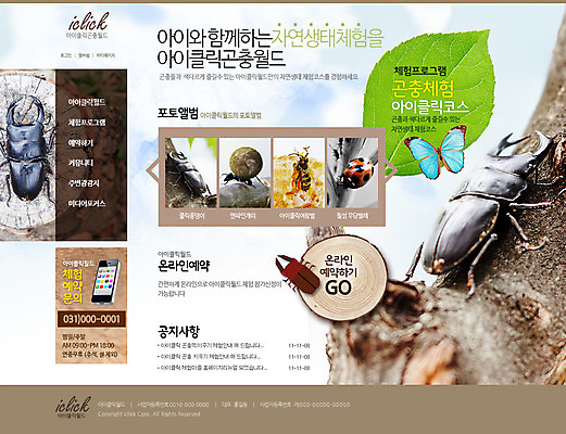 PSD 나무 식물 템플릿 웹템플릿 나비 곤충 웹소스 사이트템플릿 회사홈페이지 나뭇잎 사람없음 홈페이지 웹 홈페이지시안 체험학습 벌 풍뎅이 메인 무당벌레 개미 이미지템플릿 동물 잎 인터넷 체험 파일형식 편집소스