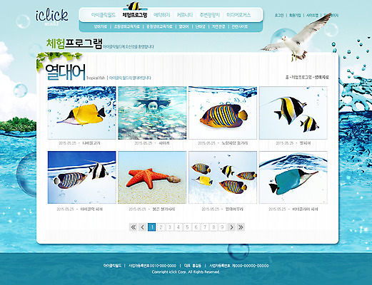 PSD 템플릿 여자 바다 웹템플릿 갈매기 조류 웹소스 사이트템플릿 회사홈페이지 불가사리 서브 어류 한명 사람 동양인 성인 홈페이지 웹 홈페이지시안 한국인 체험학습 열대어 견학 여자만 여자한명만 성인여자만 성인만 이미지템플릿 동물 1 교육 인터넷 극피동물 인종 수중동물 체험 파일형식 편집소스