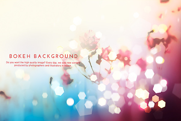 PSD 편집이미지 꽃 분홍색 컬러 하늘색 백그라운드 포토일러 사람없음 보케 육각형 블러 이미지편집 도형 식물 파란색 파일형식