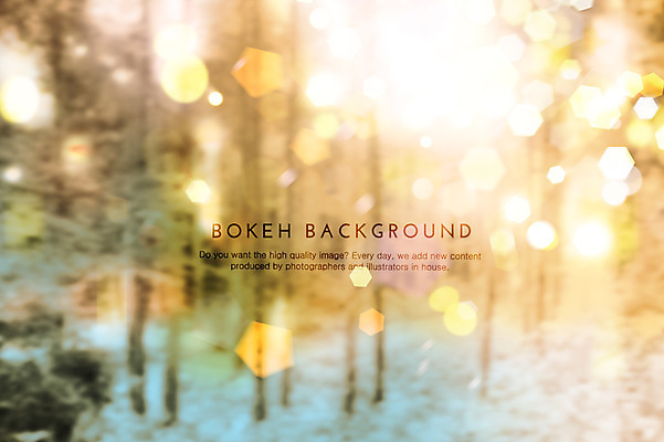 PSD 나무 식물 편집이미지 백그라운드 자연 포토일러 사람없음 빛 햇빛 원형 숲 보케 육각형 블러 이미지편집 도형 태양 생태계 파일형식