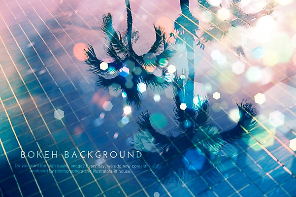 PSD 나무 편집이미지 백그라운드 포토일러 수영장 사람없음 야자수 반사 원형 타일 보케 육각형 이미지편집 도형 식물 파일형식