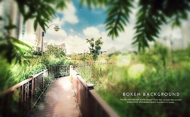 주간 PSD 식물 구름 편집이미지 백그라운드 가로등 포토일러 하늘 사람없음 야외 건물 맑음 산책로 원형 보케 블러 가교 이미지편집 자연요소 도형 건축물 공공시설 길 날씨 파일형식