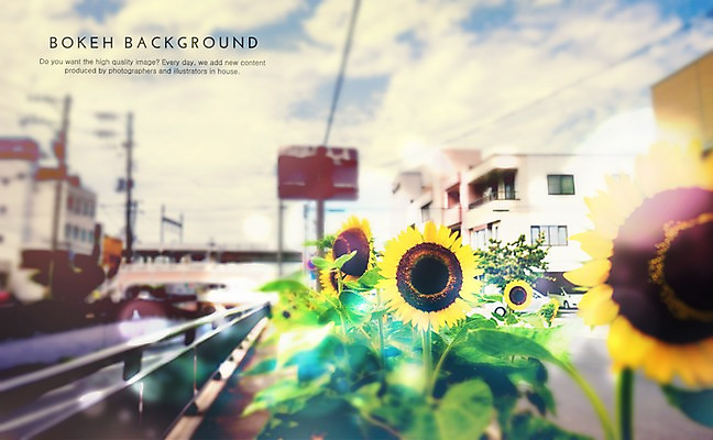 주간 PSD 구름 편집이미지 꽃 백그라운드 포토일러 하늘 해바라기 거리 사람없음 야외 도시 원형 보케 블러 이미지편집 자연요소 도형 식물 파일형식