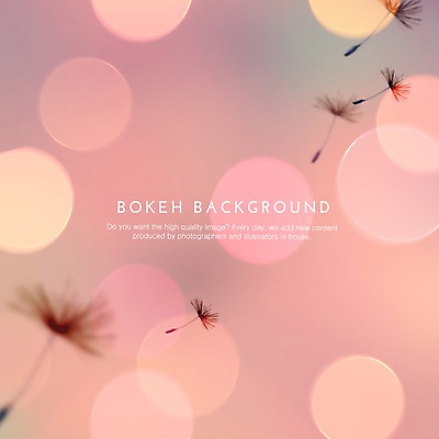 PSD 식물 편집이미지 백그라운드 포토일러 사람없음 원형 민들레 보케 민들레홀씨 블러 이미지편집 도형 꽃 파일형식