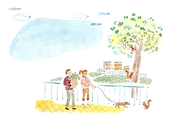 주간 PSD 나무 식물 커플 공원 여자 남자 꽃 일러스트 조류 함께함 사랑 사람 성인 야외 두명 울타리 산책 강아지 다람쥐 성인만 국내일러스트 자연요소 동물 공공시설 감정 컨셉 관계 휴식 담장 반려동물 개 설치류 파일형식