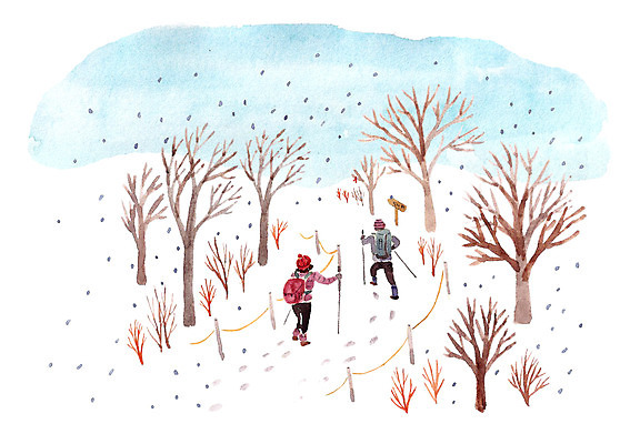 주간 PSD 나무 커플 계절 여자 남자 겨울 일러스트 배낭 함께함 사랑 사람 성인 야외 두명 등산 눈 산행 성인만 국내일러스트 자연요소 식물 감정 컨셉 가방 관계 날씨 트래킹 파일형식