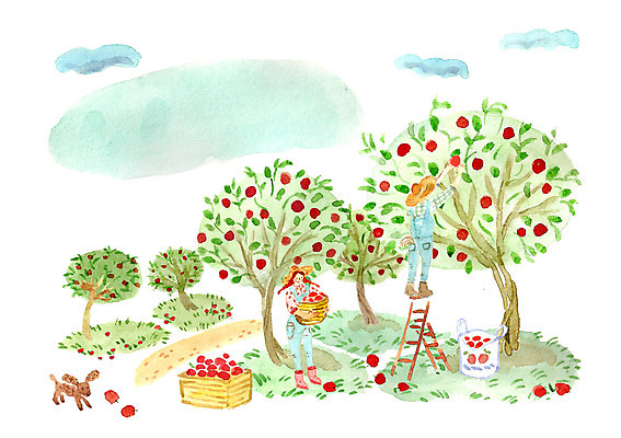 주간 PSD 나무 식물 커플 여자 남자 과일 일러스트 사다리 함께함 사랑 사람 성인 야외 두명 바구니 강아지 사과 과수원 사과나무 성인만 국내일러스트 자연요소 감정 컨셉 농업 관계 반려동물 도구 개 파일형식