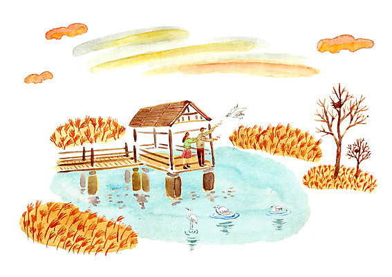 주간 PSD 식물 커플 계절 여자 남자 일러스트 조류 함께함 갈대 사랑 사람 성인 야외 두명 강 노을 가을 먹이 갈대숲 성인만 국내일러스트 자연요소 동물 감정 컨셉 관계 숲 파일형식 갈대_식물