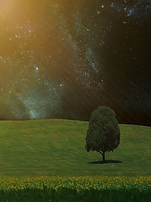 JPG 나무 식물 편집이미지 꽃 별 백그라운드 밤하늘 한그루 사람없음 3D 우주 화려 신비 디지털합성 합성 디지털아트 이미지편집 편집3D 자연요소 1 컨셉 하늘 야간 파일형식