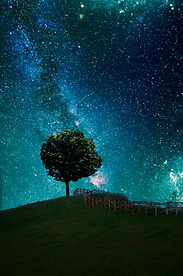 JPG 나무 식물 편집이미지 별 백그라운드 밤하늘 한그루 사람없음 울타리 3D 우주 화려 신비 언덕 디지털합성 합성 은하수 별빛 디지털아트 이미지편집 편집3D 자연요소 1 컨셉 자연 하늘 빛 담장 야간 파일형식