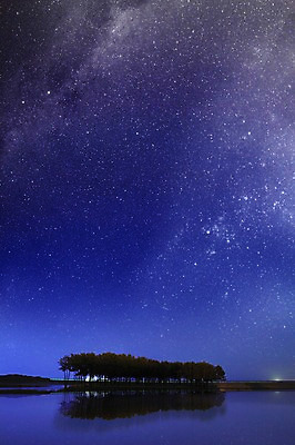 JPG 나무 식물 편집이미지 별 백그라운드 밤하늘 사람없음 3D 우주 화려 숲 신비 디지털합성 합성 소나무숲 디지털아트 이미지편집 편집3D 자연요소 컨셉 하늘 소나무 야간 파일형식