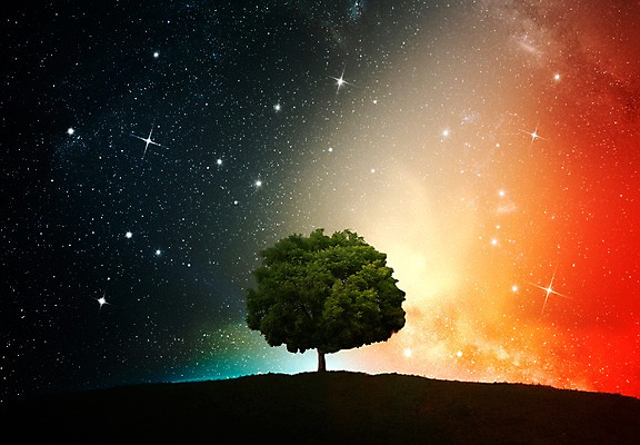 JPG 나무 식물 편집이미지 별 백그라운드 한그루 사람없음 반짝임 컬러풀 3D 우주 화려 신비 언덕 디지털합성 디지털아트 이미지편집 편집3D 자연요소 1 컬러 컨셉 모션 파일형식