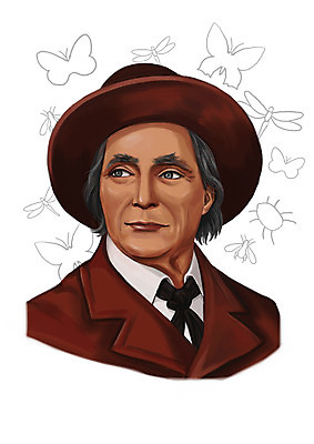 PSD 서양인 외국인 모자 남자 나비 곤충 일러스트 한명 사람 상반신 성인 벌레 잠자리 위인 곤충학자 파브르 박물학자 남자만 남자한명만 성인남자만 성인만 국내일러스트 동물 직업 1 잡화 인종 파일형식