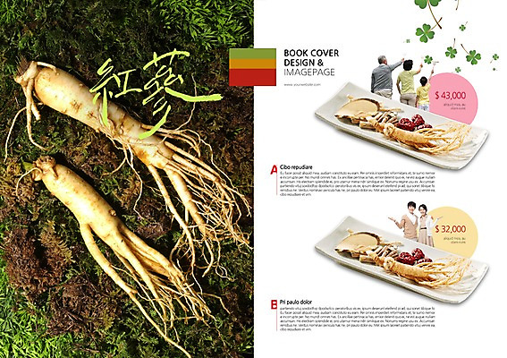 PSD 식물 템플릿 편집 접시 표지디자인 북디자인 출판디자인 여자 노년 남자 내지 어린이 백그라운드 북커버 가족 건강 가족애 사람 팜플렛 상반신 성인 뒷모습 세명 약재 한약재 인삼 클로버 60대 가격 대추 보양식 홍삼 이미지템플릿 식기 음식 뷰포인트 관계 사랑 약 삼 몸보신 파일형식