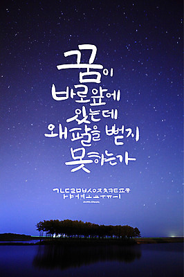 나무 식물 손글씨 별 백그라운드 일러스트 캘리그라피 밤하늘 타이포그라피 한글 사람없음 야외 세트 로맨틱 추억 야간 감성 조합형타이포 국내일러스트 AI파일 자연요소 문자 컨셉 하늘 파일형식 벡터