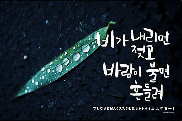 식물 손글씨 백그라운드 일러스트 캘리그라피 날씨 나뭇잎 타이포그라피 한글 사람없음 세트 로맨틱 비 추억 빗방울 감성 조합형타이포 국내일러스트 AI파일 자연요소 문자 컨셉 잎 비_날씨 파일형식 벡터