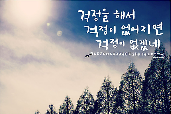 주간 나무 식물 구름 손글씨 백그라운드 일러스트 캘리그라피 조류 하늘 풍경 타이포그라피 한글 사람없음 야외 세트 로맨틱 추억 감성 조합 조합형타이포 국내일러스트 AI파일 자연요소 동물 문자 컨셉 파일형식 벡터