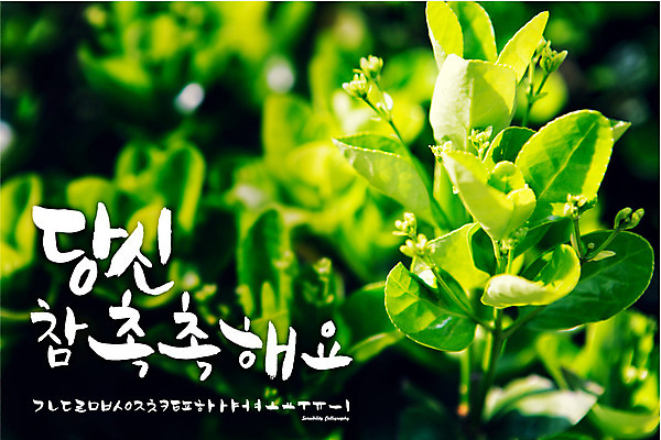 식물 손글씨 계절 백그라운드 일러스트 캘리그라피 타이포그라피 한글 사람없음 세트 새싹 봄 로맨틱 추억 감성 조합형타이포 국내일러스트 AI파일 문자 컨셉 파일형식 벡터