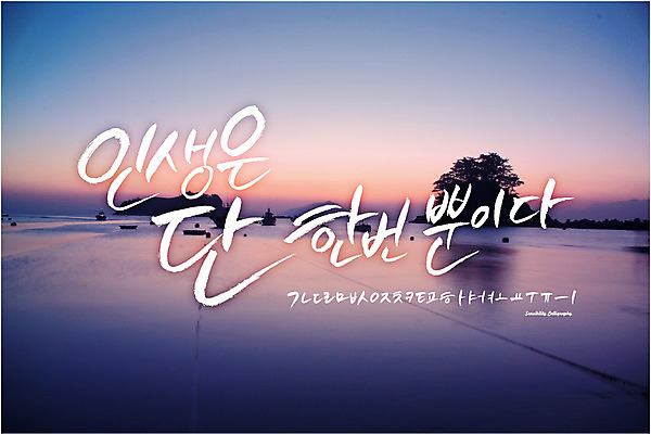 나무 식물 손글씨 백그라운드 일러스트 캘리그라피 풍경 타이포그라피 한글 사람없음 세트 일몰 로맨틱 추억 감성 조합 조합형타이포 국내일러스트 AI파일 문자 컨셉 노을 파일형식 벡터