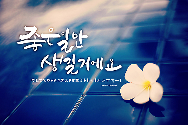 식물 손글씨 꽃잎 꽃 백그라운드 일러스트 캘리그라피 타이포그라피 한글 사람없음 세트 로맨틱 추억 타일 감성 조합형타이포 국내일러스트 AI파일 문자 컨셉 파일형식 벡터