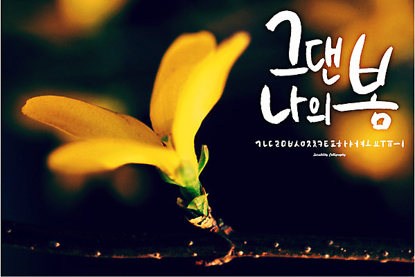 식물 손글씨 계절 꽃 백그라운드 일러스트 캘리그라피 타이포그라피 한글 사람없음 세트 봄 로맨틱 추억 감성 조합형타이포 국내일러스트 AI파일 문자 컨셉 파일형식 벡터