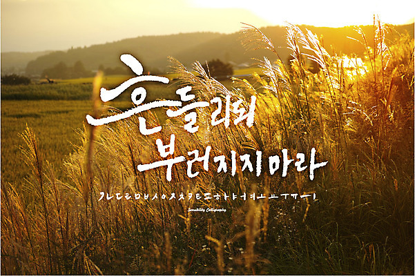 주간 식물 손글씨 백그라운드 일러스트 캘리그라피 갈대 풍경 타이포그라피 한글 사람없음 야외 세트 일몰 로맨틱 추억 감성 조합 조합형타이포 국내일러스트 AI파일 자연요소 문자 컨셉 노을 파일형식 벡터