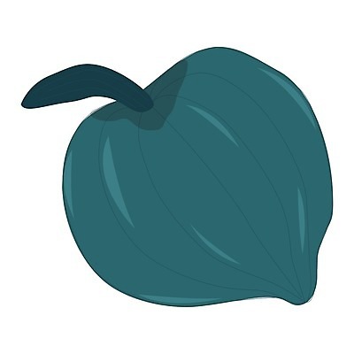 EPS 해외이미지 디자인 계절 음식 백그라운드 잎 겨울 채소 오렌지 일러스트 자연 호박 휴가 오리 건강 그래픽 장식 할로윈 수확 가을 흰색 축하 유기농 손그림 추수감사절 스쿼시 고립 채식주의자 해외202004 해외일러스트 식물 웰빙 기독교 스포츠 컬러 컨셉 농업 과일 조류 구기 생태계 채식 파일형식 벡터 이미지허브