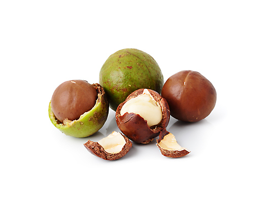 포토 JPG 해외이미지 식물 라이프스타일 계절 음식 과일 재료 공 자연 건강 씨앗 사람없음 장식 갈색 견과류 수확 껍질 흰색 신선 그룹 균열 닫기 먹기 유기농 알맹이 날것 내추럴 개암나무 고립 깨짐 단백질 핵심 해외202004 해외포토 나무 웰빙 컬러 컨셉 농업 모션 생활 생태계 영양소 파일형식 이미지허브