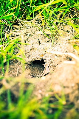 포토 JPG 해외이미지 공원 백그라운드 자연 표면 날씨 추상 주택 사람없음 야외 여름 글로벌 갈색 환경 검은색 흙 사막 구멍 땅 질감 먼지 점토 진흙 내추럴 그런지 깊이 땅바닥 땅파기 옛날 해외202004 해외포토 계절 공공시설 컬러 무늬 바닥 건물 생태계 파일형식 이미지허브