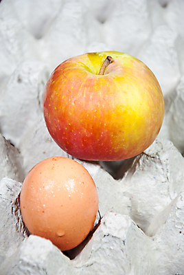 포토 JPG 해외이미지 음식 캠페인 컨셉 비즈니스 성공 새로움 안내 사람없음 빨간색 상자 세일 상점 계란 자신감 그룹 시장 구매 사과 상품 대표 알림 심볼 동료 경영자 리더 상업 패키지 소매 승진 마케팅 해외202004 해외포토 감정 컬러 과일 관계 쇼핑 알 파일형식 이미지허브