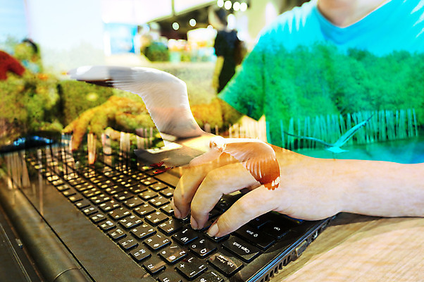 포토 JPG 해외이미지 손 남자 바다 컨셉 인터넷 비즈니스 통신 자연 갈매기 조류 휴식 사람없음 노트북 컴퓨터 글로벌 상점 공책 자유 수술 어플리케이션 보호 숲 스마트 검색 언론 시스템 온라인 더블 해외202004 해외포토 동물 의학 문구용품 사람 신체부위 치료 전자제품 생태계 파일형식 이미지허브