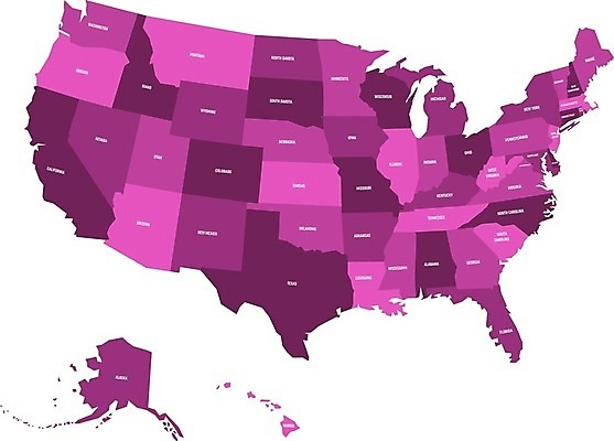 EPS 해외이미지 모양 실루엣 분홍색 백그라운드 컨셉 지도 일러스트 벽지 세계 라벨 미국 흰색 이름 플랫 계획 그늘 제비꽃 뉴욕 하와이 심플 캘리포니아 북쪽 알래스카 전국 지도책 지리 플로리다 해외202004 해외일러스트 꽃 컬러 북아메리카 프레임 촬영기법 책 방향 파일형식 벡터 이미지허브