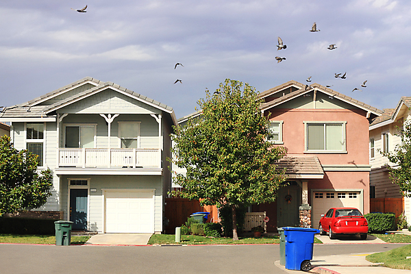 포토 JPG 해외이미지 나무 외관 건축양식 가족 자동차 조류 하늘 벽돌 새로움 주택 풍경 사람없음 건물 초록색 여름 파란색 문 꿈 도시 재산 고급 쓰레기 폐기물 싱글 투자 리빙 이웃 대출 교외 진짜 차고 표준 해외202004 해외포토 식물 동물 건축물 계절 건축 육상교통 컬러 컨셉 비즈니스 관계 금융 파일형식 이미지허브