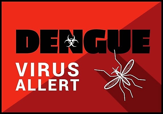 EPS 해외이미지 디자인 컨셉 절지류 일러스트 경고 그래픽 빨간색 펼침 긴급 바이러스 질병 위험 심볼 사인 그림 예방 생물학 감염 전염 반대 찌르기 기생충 경보 고립 모기 부담 전염병 해외202004 해외일러스트 동물 교육 컬러 의학 모션 해충 파일형식 벡터 이미지허브