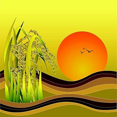 EPS 해외이미지 나무 식물 구름 계절 아시아 음식 여행 백그라운드 잎 농업 일러스트 태국 자연 밥 추상 손바닥 동양인 풍경 야외 초록색 물 여름 파란색 농작물 컬러풀 태양 농장 농경지 노란색 정원 일몰 수확 가을 흰색 시골 신선 닫기 낟알 땅 유기농 내추럴 논밭 해외202004 해외일러스트 자연요소 손 웰빙 나라 산업 컬러 무늬 밭 모션 논 인종 노을 생태계 파일형식 벡터 이미지허브