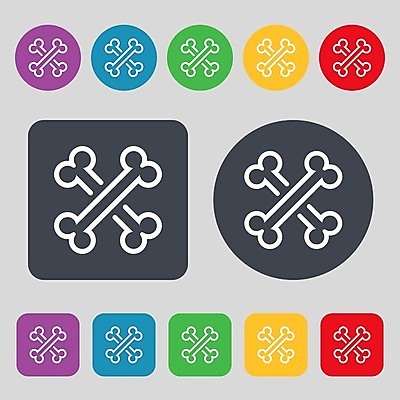 EPS 해외이미지 동물 실루엣 음식 과학 포즈 백그라운드 신체 다이어트 일러스트 해부 놀이 뼈 골격 건강 병원 사람 그래픽 치료 반려동물 약 라벨 고통 환자 마사지 원형 센터 오르간 개 작음 만화 심볼 척추 오브젝트 사인 원시시대 돌봄 요통 정형외과 해외202004 해외일러스트 도형 감정 포유류 의학 모션 프레임 촬영기법 역사 건반악기 크기 허리통증 파일형식 벡터 악기 건반 음악 문화예술 이미지허브