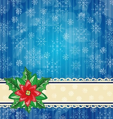 EPS 해외이미지 식물 템플릿 전통 디자인 꽃잎 꽃 백그라운드 잎 크리스마스 겨울 패턴 일러스트 자연 벽지 휴가 새해 장식 빨간색 초록색 덮개 나뭇가지 축하 인사 신용카드 눈송이 12월 허브 관목 심볼 질감 초대 상록수 포인세티아 구성 노엘 엘리먼트 해외202004 해외일러스트 나무 계절 기념일 컬러 컨셉 무늬 눈_날씨 금융 뚜껑 예절 날짜 생태계 파일형식 벡터 이미지허브