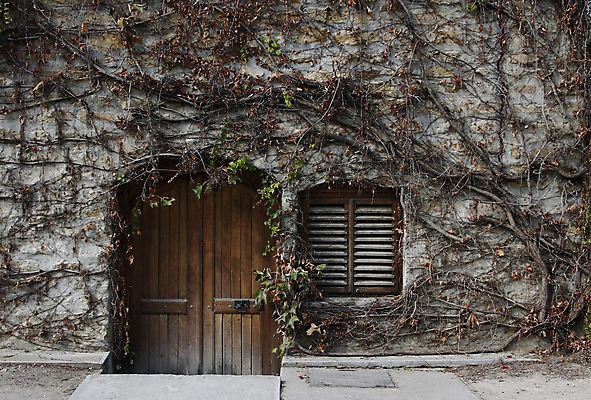 포토 JPG 해외이미지 전통 건축양식 포도 지붕 주택 사람없음 건물 목재 농가 문 마을 와인 수확 시골 역사 재산 오두막 복고 포도밭 헝가리 내추럴 양조장 옛날 지하실 해외202004 해외포토 나무 건축물 건축 밭 농업 과일 재료 주류 금융 농장 동유럽 파일형식 이미지허브