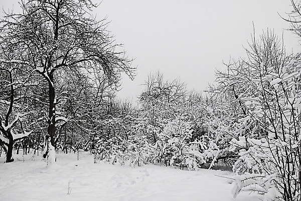 포토 JPG 해외이미지 호수 겨울 자연 아침 풍경 사람없음 물 추위 신선 러시아 모스크바 해외202004 해외포토 주간 자연요소 계절 유럽 생태계 파일형식 이미지허브