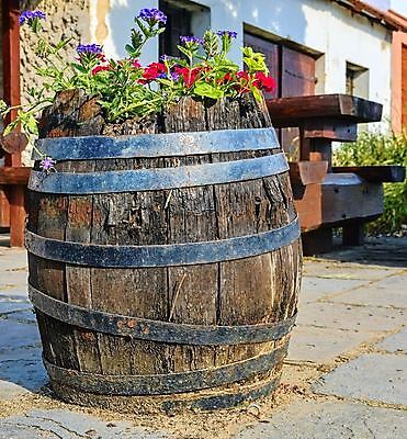 포토 JPG 해외이미지 식물 꽃 화분 벽 백그라운드 자연 날씨 통 사람없음 야외 목재 장식 빨간색 세로 초록색 컬러풀 한개 햇빛 갈색 와인 정원 수확 골동품 흰색 농촌 시골 컨테이너 오브젝트 부식 싱글 수납 구식 옛날 제라늄 해외202004 해외포토 나무 1 산업 컬러 농업 재료 주류 태양 생태계 파일형식 이미지허브