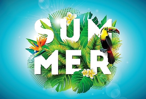 EPS 해외이미지 나무 식물 동물 배너 꽃 포스터 야생동물 섬 여행 백그라운드 잎 일러스트 자연 조류 휴가 사람없음 초록색 파란색 컬러풀 태양 시간 하와이 앵무새 파라다이스 브라질사람 해외202004 해외일러스트 자연요소 컬러 미국 생태계 파일형식 벡터 이미지허브