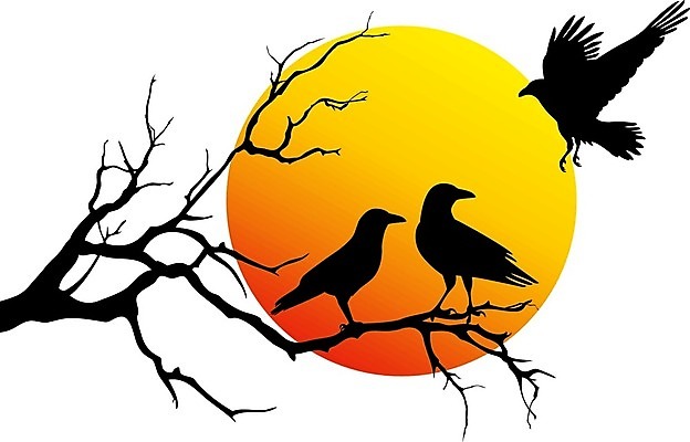 EPS 해외이미지 클립아트 모양 나무 동물 디자인 실루엣 야생동물 백그라운드 겨울 날개 오렌지 일러스트 자연 조류 미술 야외 빨간색 태양 노란색 검은색 일몰 할로윈 달 가을 흰색 나뭇가지 야간 자르기 깃털 그림 클립 까마귀 10월 고립 엘리먼트 해외202004 해외일러스트 자연요소 식물 계절 컬러 과일 모션 문화예술 촬영기법 노을 날짜 생태계 파일형식 벡터 이미지허브