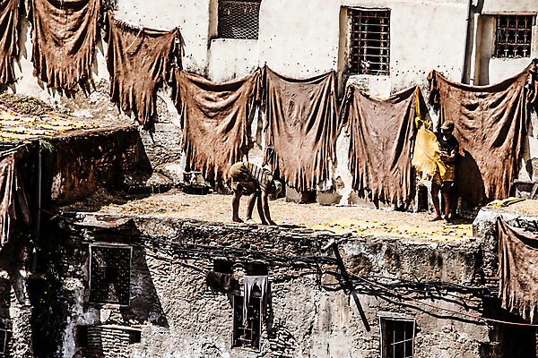 포토 JPG 해외이미지 구름 여행 오렌지 건축양식 아프리카 동양인 사람없음 가로 빨간색 세로 컬러풀 페인트 죽음 도시 업무 중세 역사 가죽 이슬람교 공예 냄새 탱크 타운 모로코 메디나 솜씨 아랍어 안뜰 옛날 해외202004 해외포토 자연요소 건축 나라 종교 컬러 과일 인종 취미 작업 파일형식 이미지허브