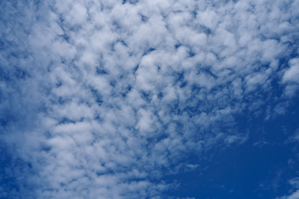 포토 JPG 해외이미지 구름 백그라운드 자연 하늘 날씨 추상 기술 파노라마 풍경 사람없음 야외 여름 파란색 빛 햇빛 환경 맑음 흰색 분위기 순수 찢어짐 천국 솜털 흐림 내추럴 몽환 해외202004 해외포토 자연요소 계절 컬러 컨셉 무늬 모션 촬영기법 태양 생태계 파일형식 이미지허브