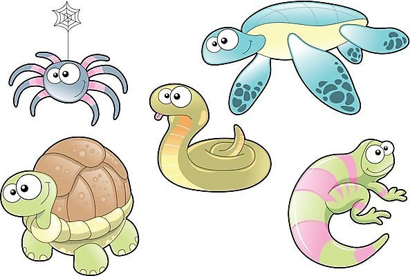 EPS 해외이미지 동물 캐릭터 교육 바다 일러스트 학교 파충류 휴가 사랑 반려동물 웹 할로윈 껍질 표현 아기 뱀 거북이 만화 만족 도마뱀 코믹 거미 이구아나 고립 동물상 몬스터 바보 해외202004 해외일러스트 일러캐릭터 감정 곤충 인터넷 사람 조형물 파일형식 벡터 이미지허브