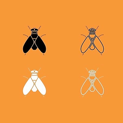 EPS 해외이미지 동물 곤충 날개 일러스트 자연 그래픽 세트 검은색 짜증 흰색 플랫 해충 벌레 지저분함 작음 큼 심볼 묘사 생물학 감염 내추럴 못생김 오싹 해외202004 해외일러스트 교육 감정 컬러 감각 크기 생태계 파일형식 벡터 이미지허브