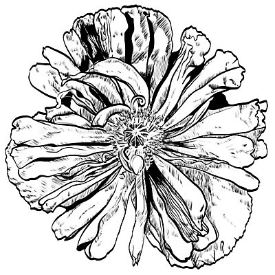 EPS 해외이미지 모양 식물 디자인 배너 꽃 실루엣 선 백그라운드 잎 꽃무늬 패턴 일러스트 자연 벽지 추상 흑백 미술 그래픽 장식 여름 봄 수확 벚꽃 나뭇가지 화려 사인 그림 질감 복고 손그림 양귀비 고립 그런지 엘리먼트 옛날 해외202004 해외일러스트 나무 계절 컨셉 무늬 농업 문화예술 촬영기법 생태계 파일형식 벡터 이미지허브