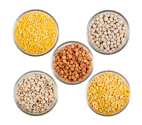 포토 JPG 해외이미지 콩 곡류 사람없음 하이앵글 다양 견과류 해외포토 뷰포인트 다수 파일형식 이미지허브