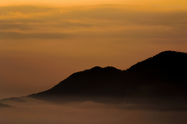 포토 JPG 해외이미지 구름 여행 자연 하늘 아침 산 풍경 사람없음 야외 초록색 여름 일출 환경 계곡 새벽 안개 언덕 내추럴 절정 해외202004 해외포토 주간 자연요소 계절 컬러 날씨 노을 생태계 파일형식 이미지허브